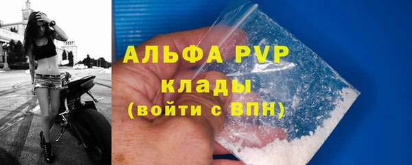 кокс Инсар