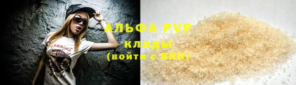 гашик Инта