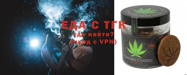 гашик Инта