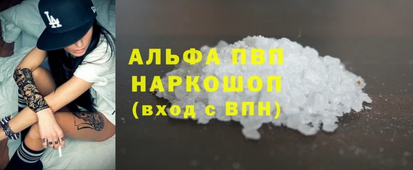 гашик Инта