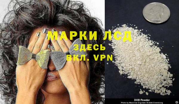 гашик Инта