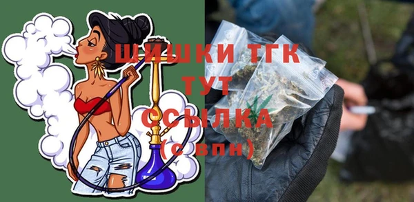 гашик Инта
