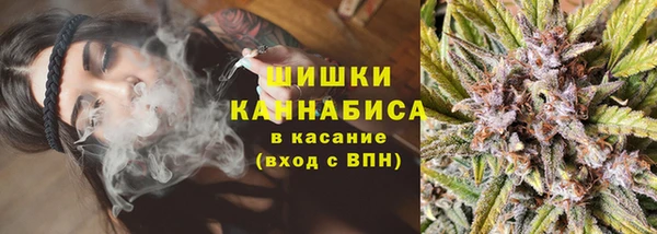 гашик Инта