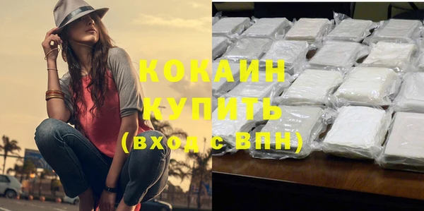 кокс Инсар