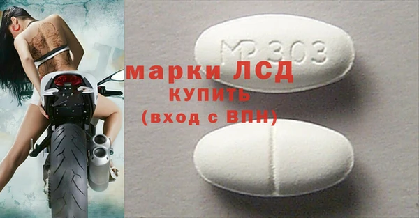гашик Инта